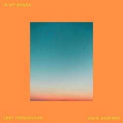 Lost Frequencies & David Kushner