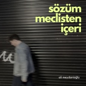 Ali Meydanioğlu - Sözüm Meclisten İçeri